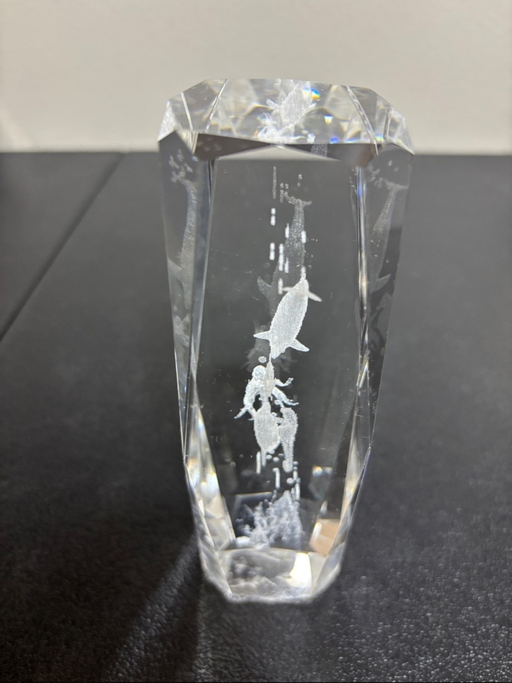 Sea Life Clear Heavy Paper Weight Decor Nautical - Picture 4 of 9